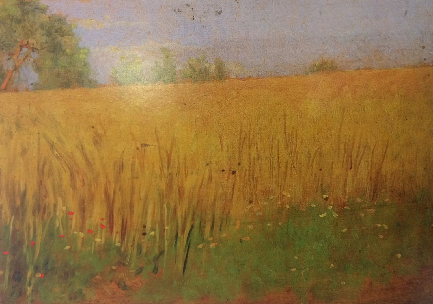 Campo di grano - Museo Giorgio Kienerk, Fauglia, Pisa